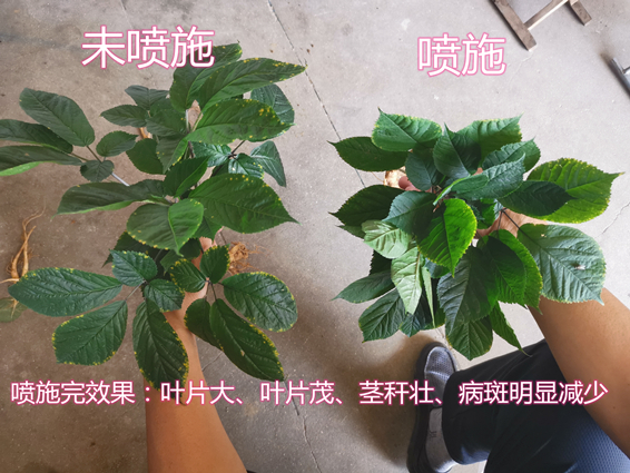 IMG_20210717_102315_副本_副本.jpg