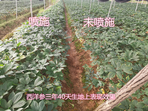 IMG_20210716_副本_副本.jpg