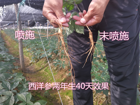 两年_副本.jpg