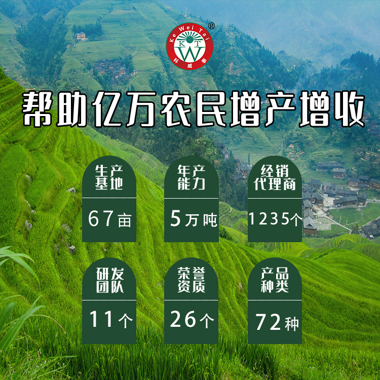 公司实力.jpg
