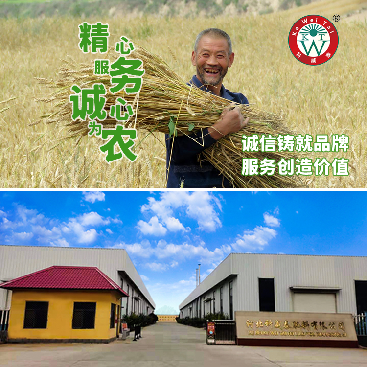 企业理念2.jpg