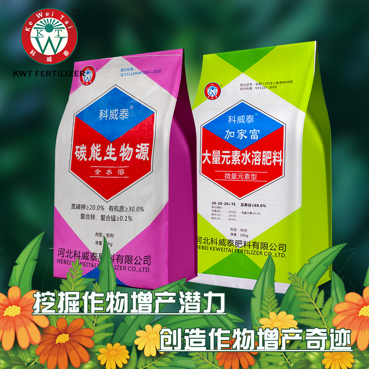 1242`1242banner.jpg